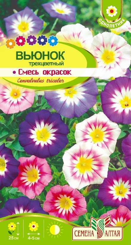 семена цветы Вьюнок Смесь окрасок ЦП 0,5гр однолет.средн h-25см d-4-5см/СемАлт/10