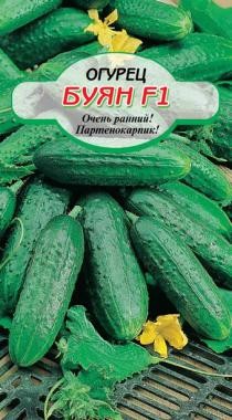 семена Огурец Буян F1 БП 5шт раннесп.откр.грунт.засол./ССС/20