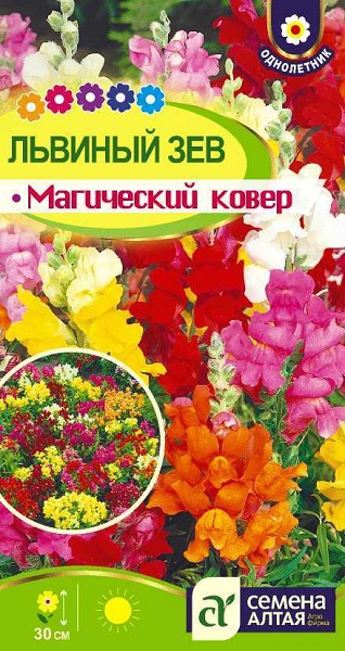 семена цветы Львиный зев Магический ковер карликовый ЦП 0,2гр h-30см d-10см/СемАлт/10