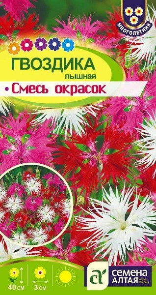 семена цветы Гвоздика Пышная смесь окрасок ЦП 0,1гр многолет.40см.мелк/СемАлт/10