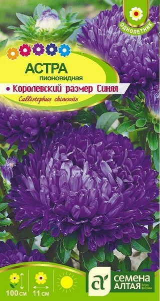 семена цветы Астра Королевский размер Смесь ЦП 0,2гр однолет.крупн h-100см d-11см/СемАлт/10