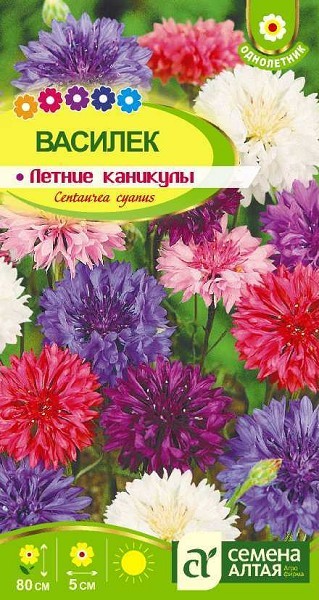 семена цветы Василек Летние каникулы ЦП 0,3гр однолет.средн h-80см d-5см /СемАлт/10