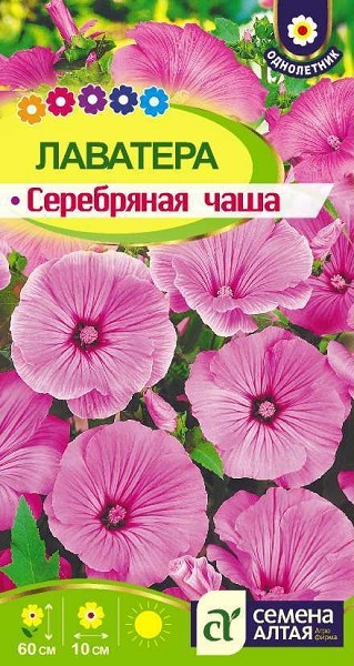 семена цветы Лаватера Серебряная чаша ЦП 0,2гр однолет.крупн h-60см d-10см/СемАлт/10