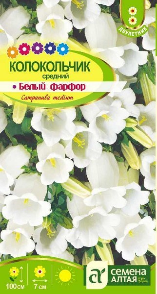 семена цветы Колокольчик Средний Белый фарфор ЦП 0,1гр двулет.крупн h-100см d-7см/СемАлт/10