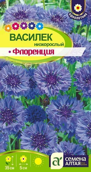 семена цветы Василек Флоренция ЦП 0,2гр однолет.средн h-35см d-5см /СемАлт/10
