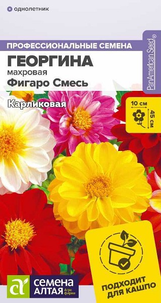 семена цветы Георгина Фигаро Смесь карликовая махровая ЦП 5шт однолет.крупн h-45см d-10см/СемАлт/10