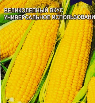 семена Кукуруза Кубанская Сахарная БП 5гр среднеспел/ЗолС/10
