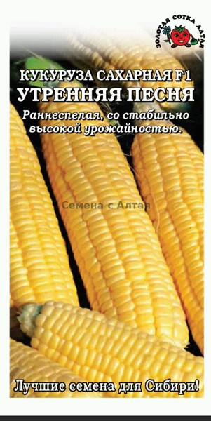 семена Кукуруза Утренняя Песня Сахарная БП 5гр раннеспел/ЗолС/10