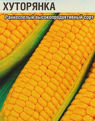 семена Кукуруза Хуторянка БП 3гр Раннеспелый, среднерослый сорт/ЗолС/10