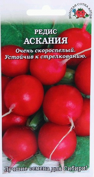 семена Редис Аскания БП 1гр раннеспел, круглый, красн/ЗолС/20