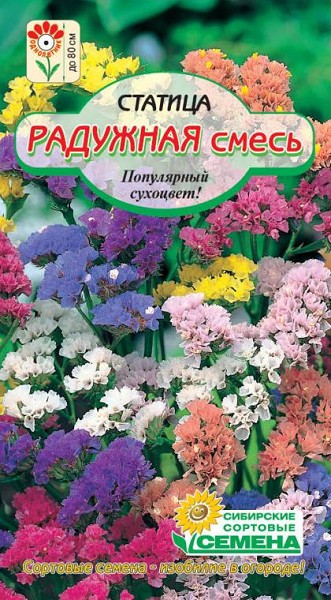 семена цветы Статица Радужная смесь ЦП 0.1гр h-70см d-6 см/ССС/10