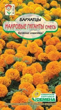 семена цветы Бархатцы Махровые Гиганты ЦП 0,3гр однолет.крупн h-80-100см d-10-12см /ССС/10