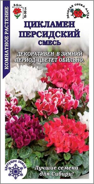семена цветы комн Цикламен Персидский смесь ЦП 3гр h-15см, d-3см/ЗолС/10
