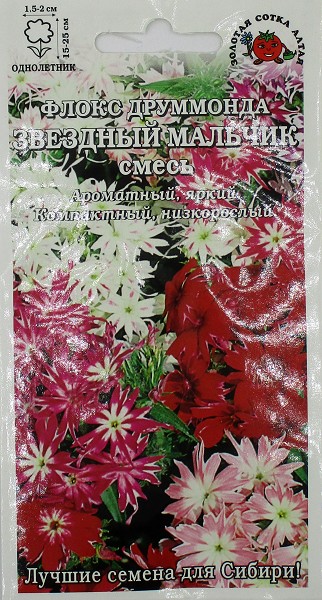 семена цветы Флокс Звездный мальчик ЦП 0,2г h-25см d-2 см/ЗолС/10