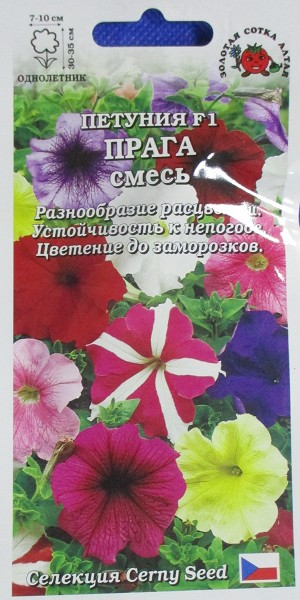 семена цветы Петуния Прага смесь F1 ЦП 10шт h-30-35см d-7-10см/ЗолС/10