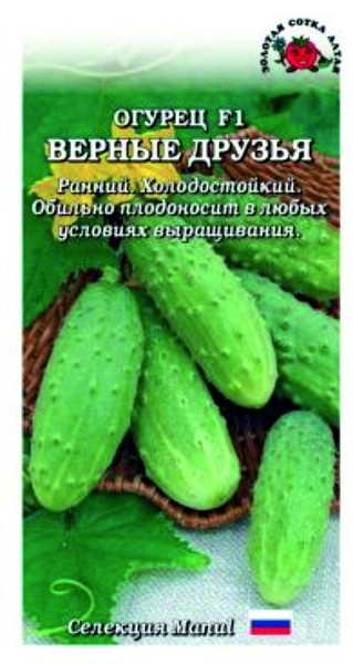 семена Огурец Верные Друзья F1 ЦП 0,15гр  раннеспел 8-10см, холодост., засолоч./ЗолС/10