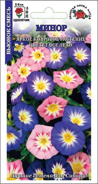 семена цветы Вьюнок Минор трехцвет однолет.ЦП 0,5гр h-20-30см d5-6см Цветет обильно и длительно./ЗолС/10