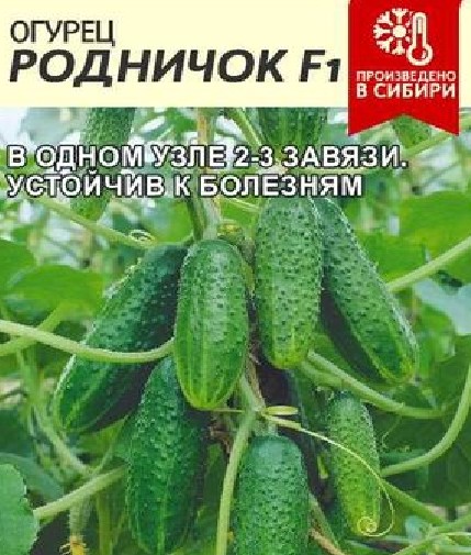 семена Огурец Родничок F1 ЦП 0,3гр среднераннесп.засол., для откр.грунта/ЗолС/10