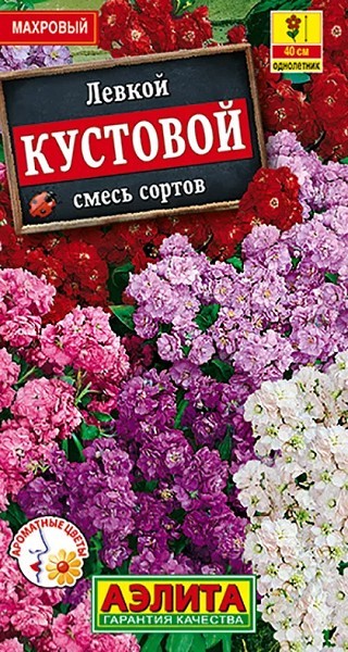 семена цветы Левкой Кустовой 0,1г смесь сортов h-40см d-4см/Аэлита/10
