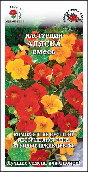 семена цветы Настурция Аляска ЦП 0,5гр смесь пестрая h-40см d-5-6см/ЗолС/10