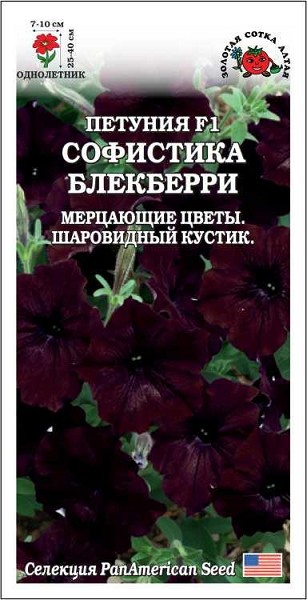 семена цветы Петуния Софистика Блекберри F1 ЦП 5ш. черн. h-40см d-10см/ЗолС/5