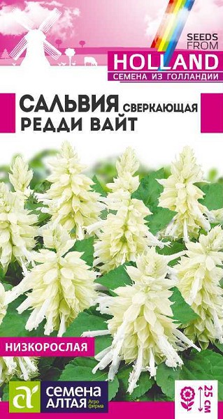 семена цветы Сальвия Редди Вайт сверкающая ЦП 5шт h-25см/СемАлт/10