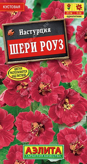 семена цветы Настурция Шери Роуз карл. ЦП 1гр 40см d-5см/Аэлита/10
