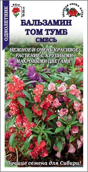 семена цветы комн Бальзамин Том Тумб смесь ЦП 0,3г  h-25см, d-5см/ЗолС/10