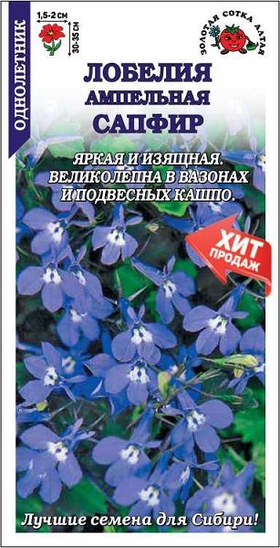 семена цветы Лобелия Сапфир ЦП 0,05г ампел. син. с бел. 35см d -2см/ЗолС/10