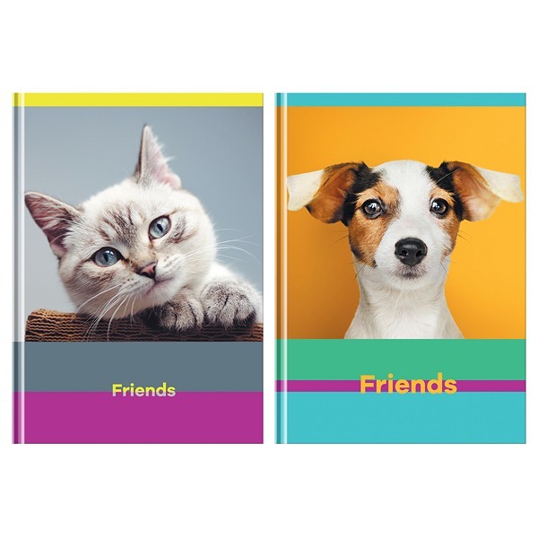 блокнот -бизнес А5 80л Friends, глянцевая ламинация, клетка, в асс. BG 342397/Рел/10