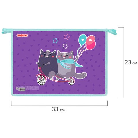 папка д/тетрадей А4 1отд. Bike cats, картон/пластик, на молнии 33*23*5,5см ПИФАГОР/СМН