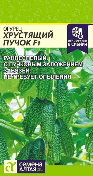семена Огурец Хрустящий Пучок ЦП 5шт раннесп.засол.для откр. и закр. грунта/СемАлт/10