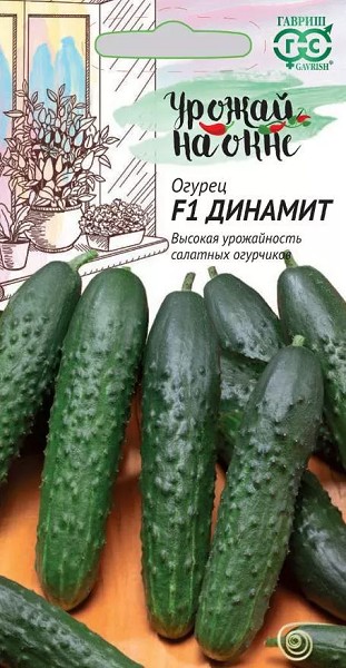 семена Огурец Динамит F1 ЦП 10шт., Урожай на окне/Гавриш/10