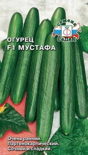 семена Огурец Мустафа F1 ЦП 0,15г ранний, салат. для защ.грунта/Седек/10