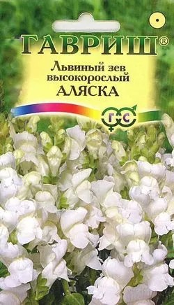 семена цветы Львиный зев Аляска белый ЦП 0,05гр h-90см d-8cм/Гавриш/10