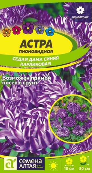 семена цветы Астра Седая Дама Синяя карликовая ЦП 0,05гр однолет.h-30см d-10см/СемАлт/10