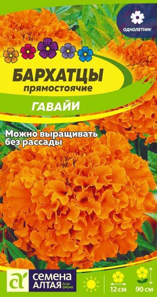 семена цветы Бархатцы Гавайи ЦП 0,2гр однолет.крупн h-90см d-12см /СемАлт/10