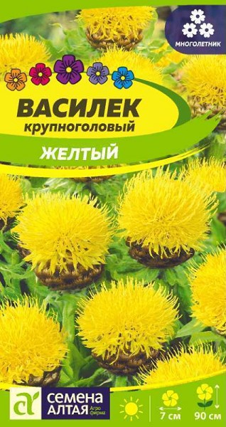 семена цветы Василек Желтый Крупноголовый ЦП 0,2гр многолет.крупн h-90см d-7см /СемАлт/10