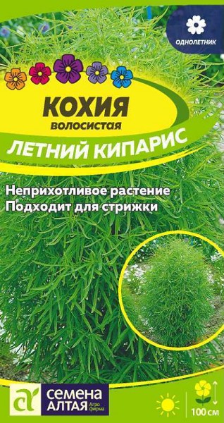 семена цветы Кохия Летний кипарис ЦП 0,2гр однолет.h-100см /СемАлт/10