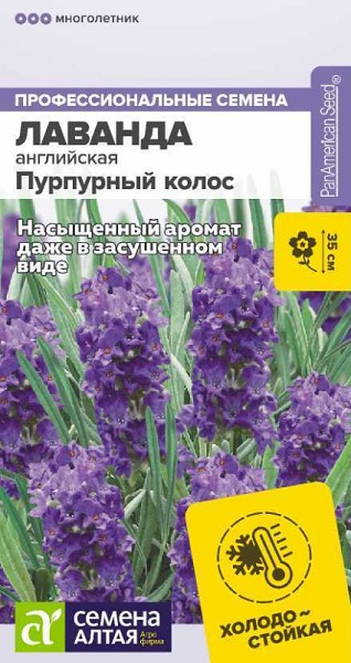 семена цветы Лаванда Пурпурный колос английская/многолет ЦП 5шт h-35см d-8см/СемАлт/10