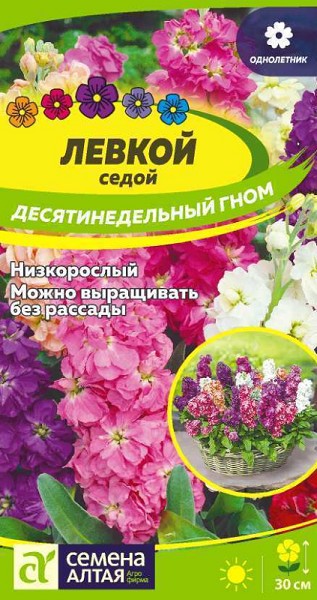 семена цветы Левкой Десятинедельный гном седой ЦП 0,05гр однолет. h-30см d-7-9см/СемАлт/10