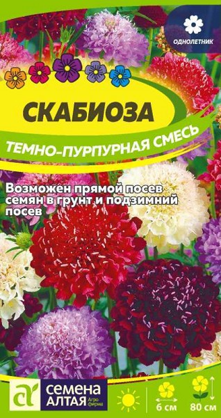 семена цветы Скабиоза Темно-Пурпурная смесь ЦП 0,2гр многолет. h-80см, d-6см/СемАлт/10
