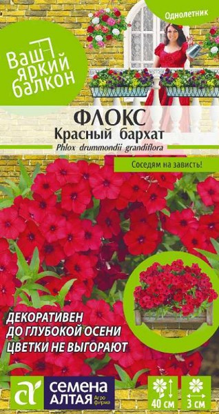 семена цветы Флокс Красный бархат Друммонда ЦП 0,05гр h-40см, d-3см//СемАлт/10