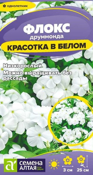 семена цветы Флокс Красотка в белом Друммонда ЦП 0,05гр h-25см, d-30см/СемАлт/10