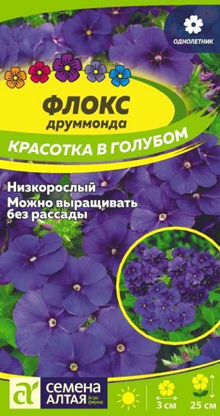 семена цветы Флокс Красотка в голубом Друммонда ЦП 0,05гр h-25см, d-30см/СемАлт/10