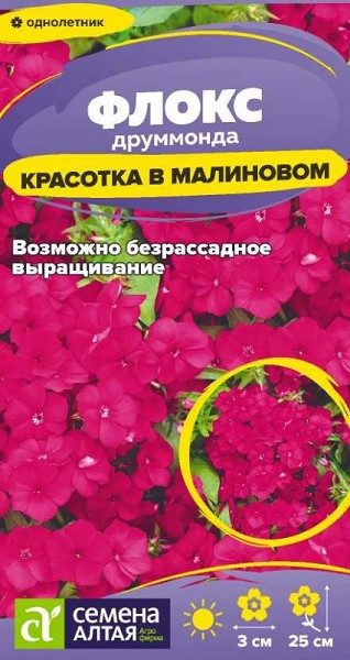 семена цветы Флокс Красотка в малиновом Друммонда ЦП 0,05гр h-25см, d-30см//СемАлт/10