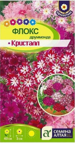 семена цветы Флокс Кристал Друммонда ЦП 0,05гр h-40см, d-3см//СемАлт/10