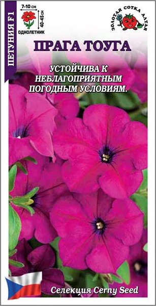 семена цветы Петуния Прага Тоуга F1 ЦП 10шт фуксия h-45см d-10см/ЗолС/10