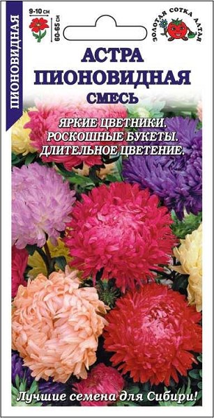 семена цветы Астра Пионовидная смесь БП 0.2гр h-70см d-10см/ЗолС/20
