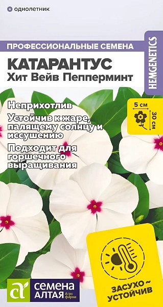 семена цветы комн Катарантус Хит Вейв Пепперминт ЦП 5шт 30см d-5см/СемАлт/10